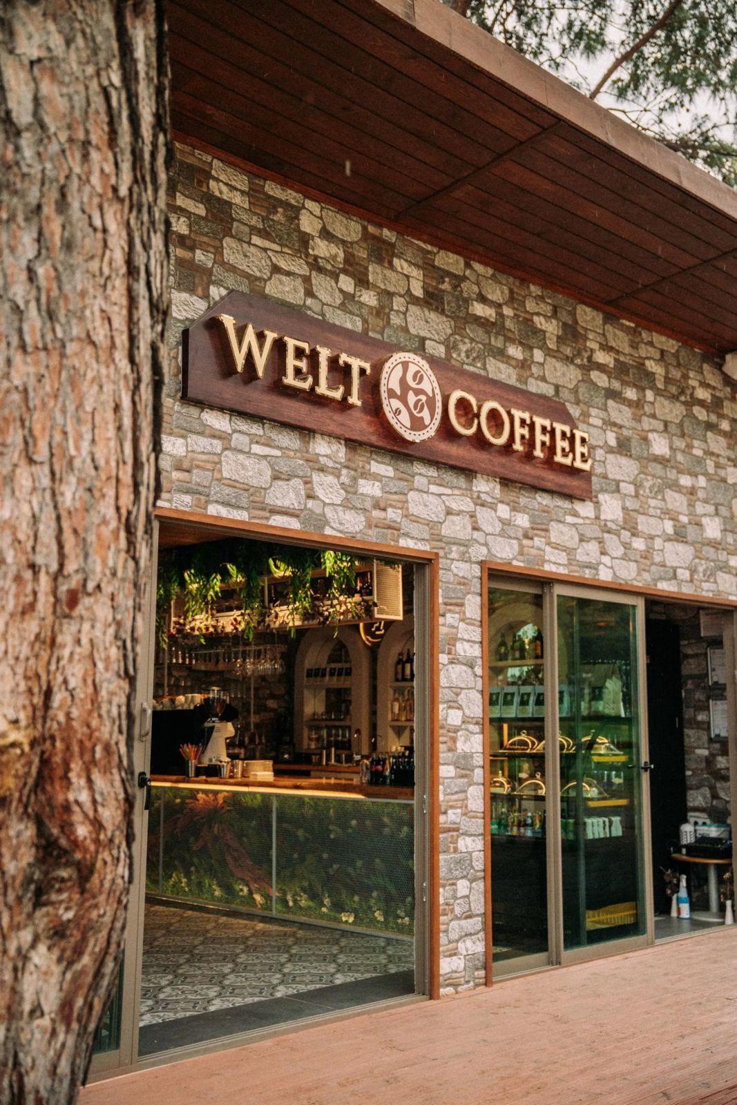 Welt Bungalows — Modern Bungalov ve Doğa Manzaraları