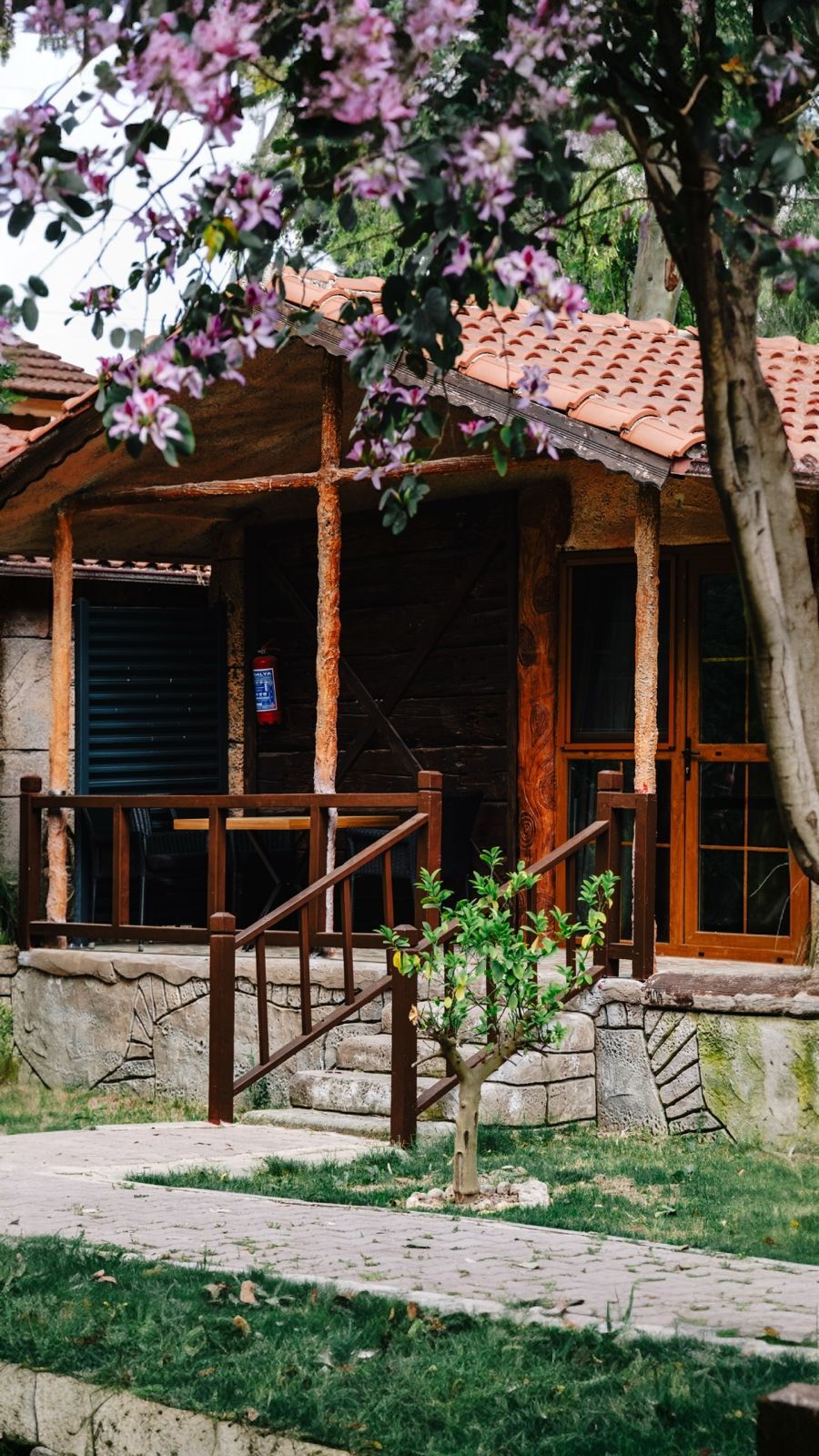 Welt Bungalows — Modern Bungalov ve Doğa Manzaraları